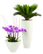 Bianco-Natural Stone Planter Vase